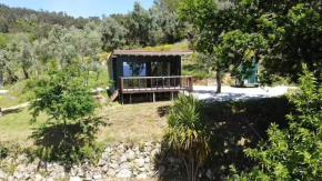 Cabin Quinta Pomar Do Pontido